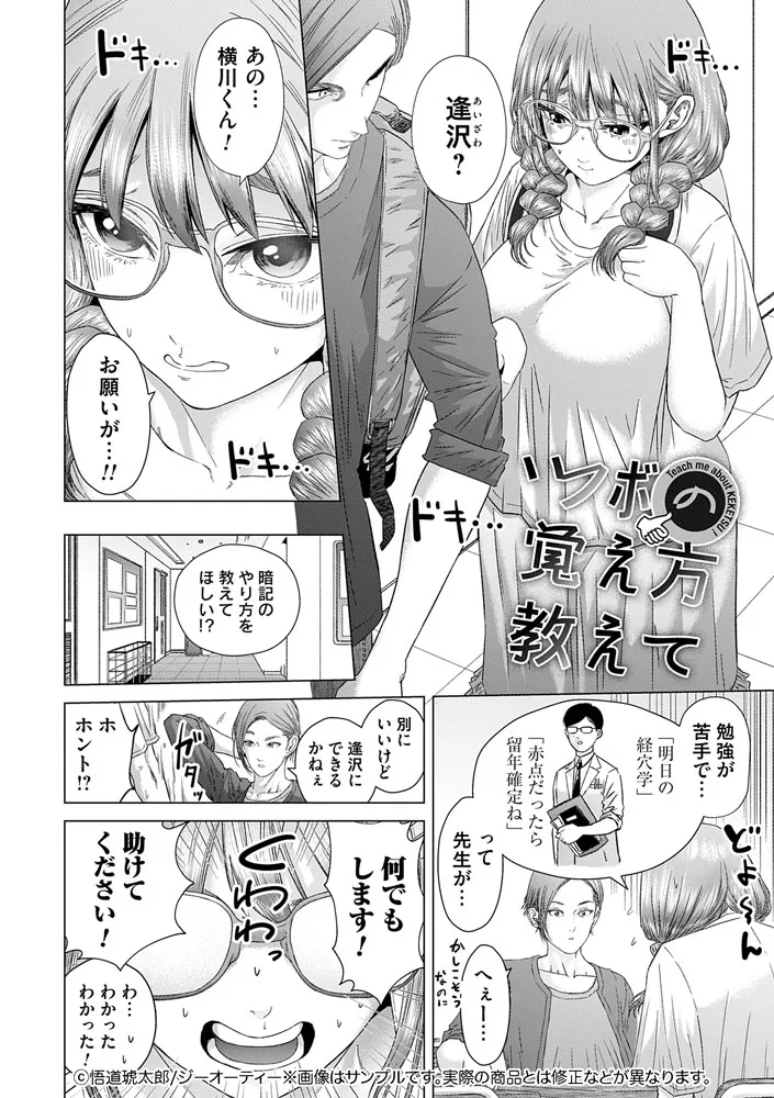 サンプル 13