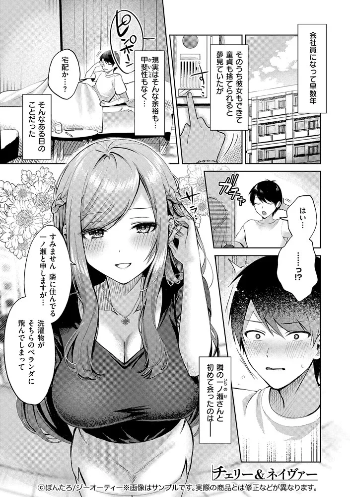 サンプル 11