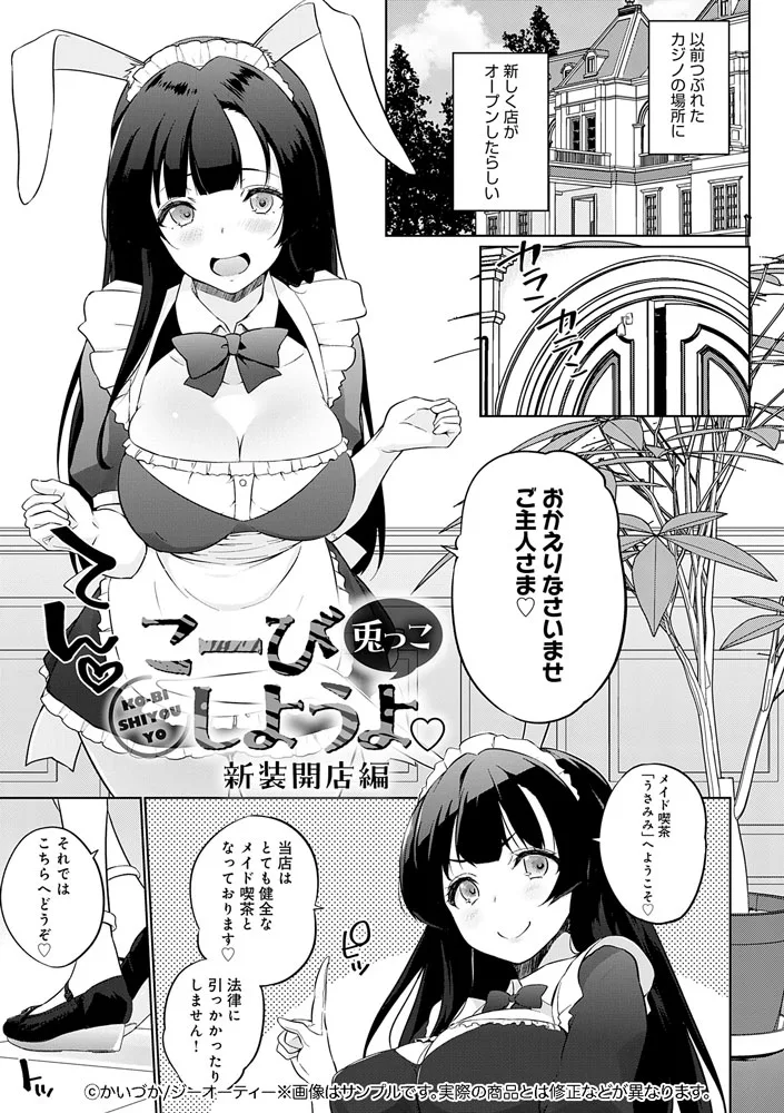 サンプル 13