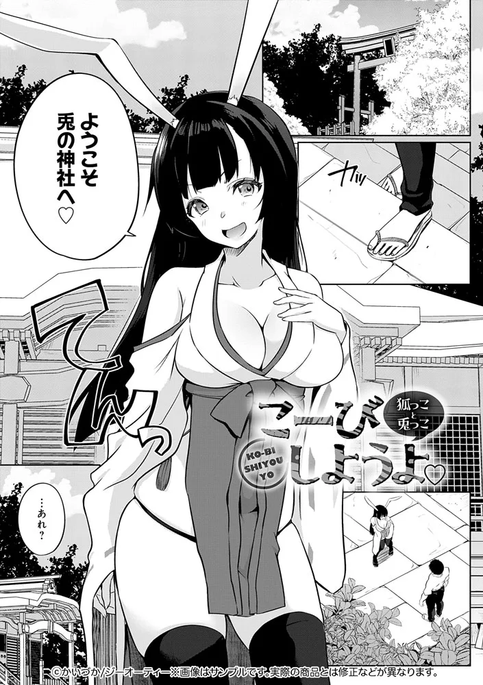 サンプル 17