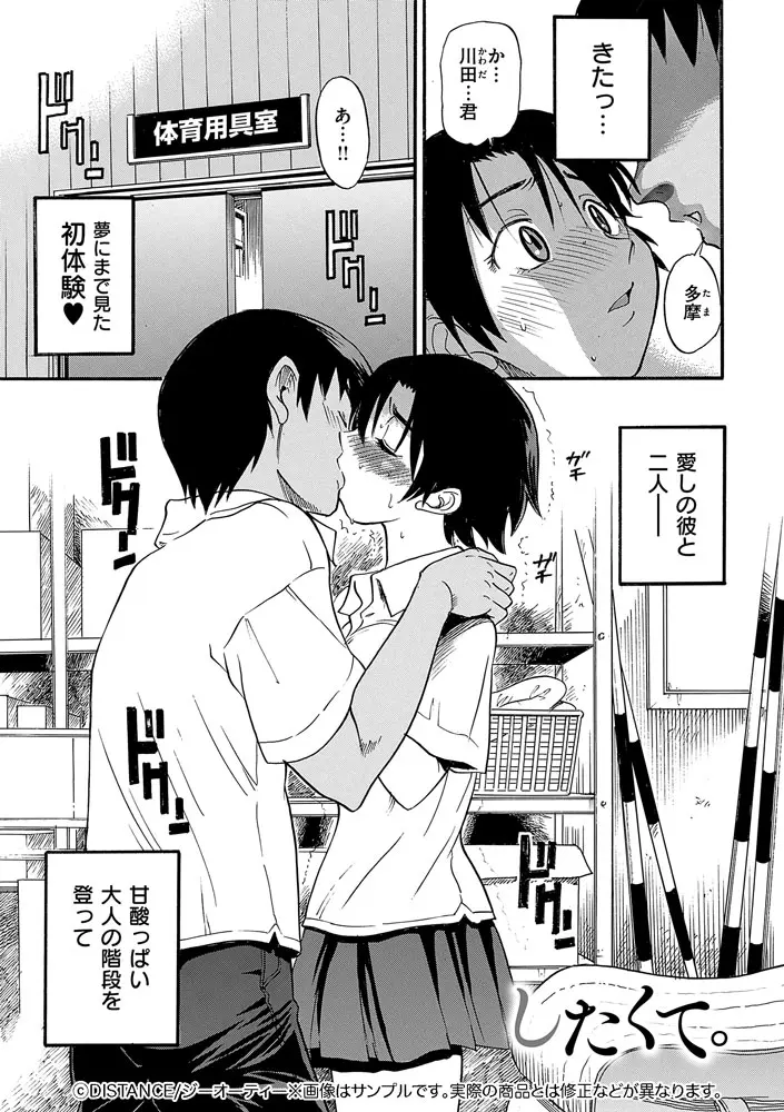 サンプル 5