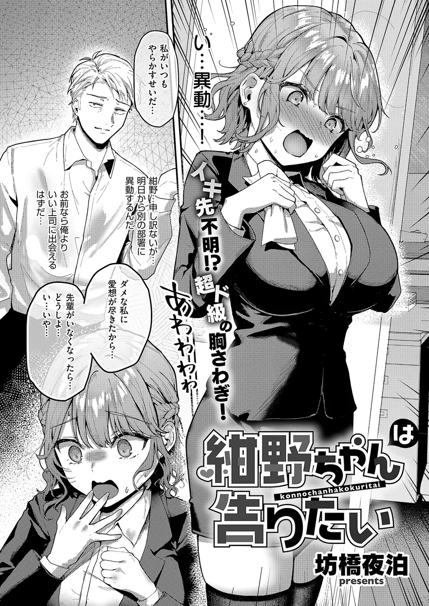 サンプル 16