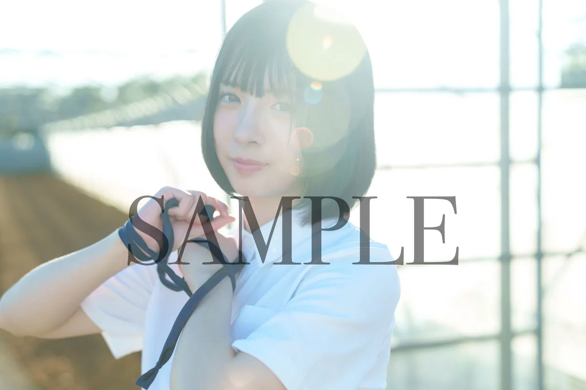 サンプル 5