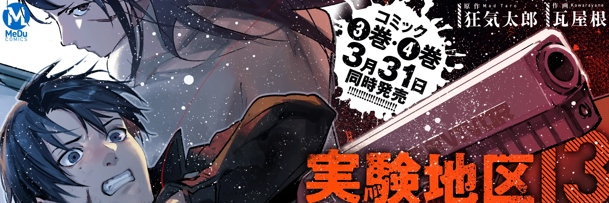 実験地区13(3)