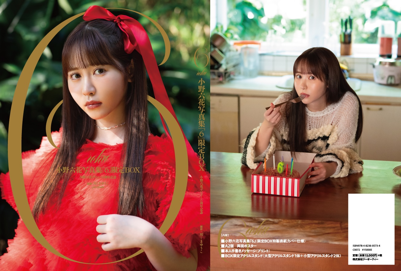 BOX外箱イメージ